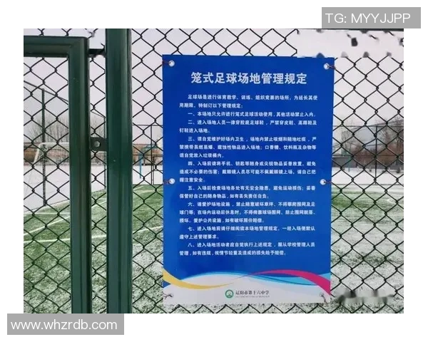 全球足球热潮兴起各国如何加大对足球运动的重视与投入