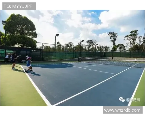 宋足球解说的魅力与技巧解析，带你领略精彩赛事背后的故事与激情